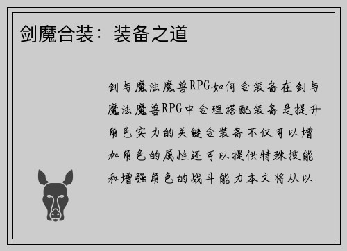 剑魔合装：装备之道